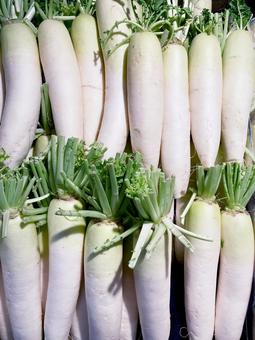 野菜・ダイコン 野菜・ダイコン ダイコン,大根,根の写真素材