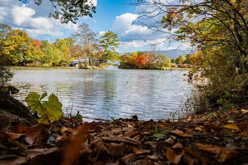 北海道　大沼国定公園　秋の風景 北海道,大沼,函館の写真素材