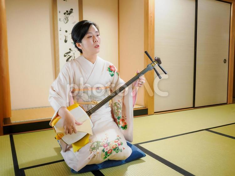33：三味線を演奏する和服の女性 三味線,着物,伝統芸能の写真素材