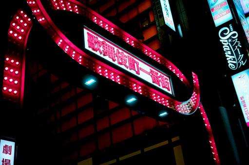 新宿歌舞伎町のネオンサイン 新宿歌舞伎町のネオンサインの写真