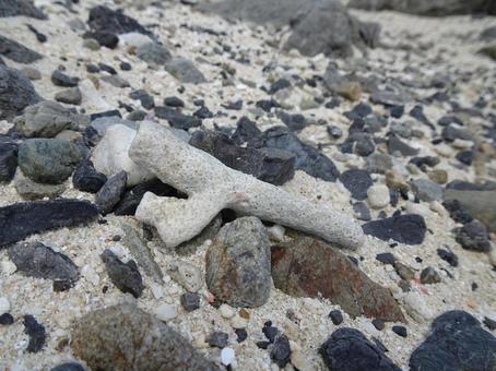 奄美大島 奄美大島の写真