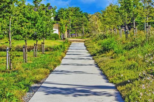 まっすぐ伸びる整備された遊歩道 公園,一本道,一直線の写真素材