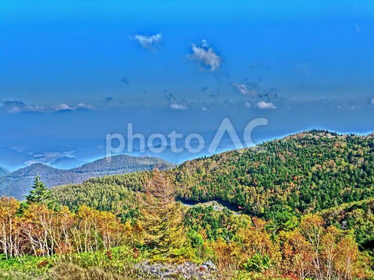 秋の山並みと青空 山,木,紅葉の写真素材