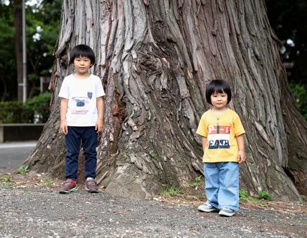 大きな樹の下に立つ子供たち 大きな樹の下に立つ子供たちの写真