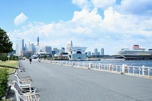 横浜・山下公園 横浜・山下公園 横浜,山下公園,公園の写真素材
