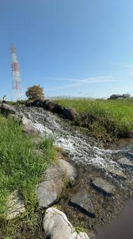 馬込川上島緑地の小川 馬込川上島緑地の小川 水,水遊び,夏の写真素材