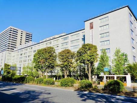 農林水産省本省2 農林水産省,水産庁,林野庁の写真素材