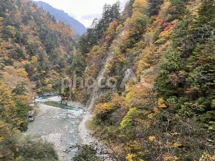 黒部峡谷 黒部峡谷,富山県,自然の写真素材