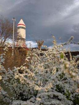 コスモタワーと花の写真