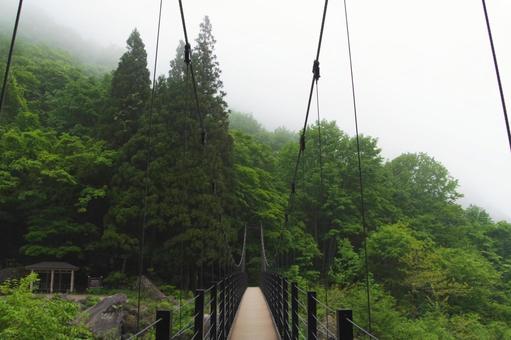 吊り橋の写真