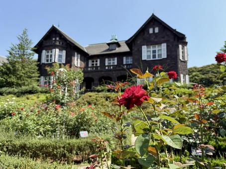 旧古河邸 旧古河庭園 7月のバラ園 旧古河邸 旧古河庭園 7月のバラ園 旧古河邸,旧古河庭園,洋館の写真素材