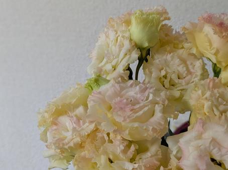 フラワー 花,フラワー,花束の写真素材