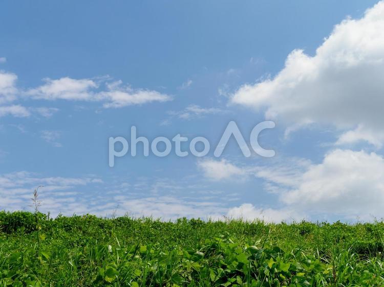 青空と新緑の河川敷の風景 堤防,新緑,青空の写真素材