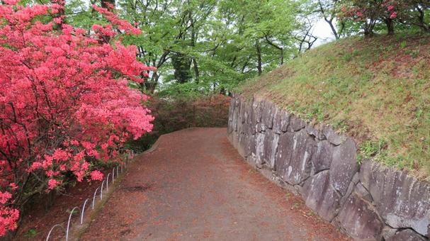 沼田城 本丸 西櫓跡の石垣 沼田城 本丸 西櫓跡の石垣の写真