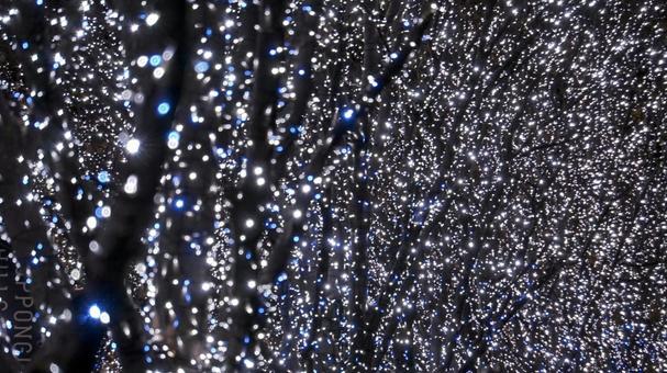 空間を覆う幻想的なイルミネーション イルミネーション,ライト,光の写真素材