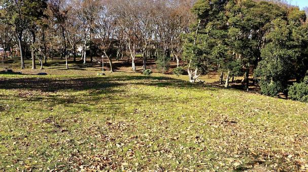 千葉県若葉区の秋の加曽利貝塚公園 千葉県若葉区の秋の加曽利貝塚公園の写真