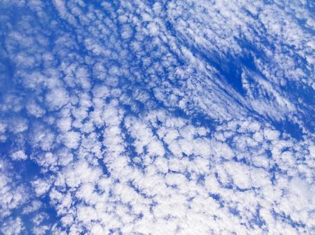 夏空 夏空の写真