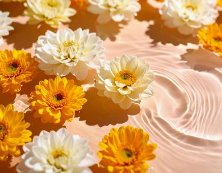 水に浮かぶ可憐な花の写真