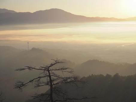 朝日と雲海 丹波八木城跡より 雲海,日の出,朝日の写真素材