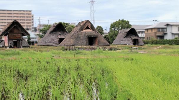 夏の登呂遺跡 竪穴式住居と高床式倉庫 夏の登呂遺跡 竪穴式住居と高床式倉庫 登呂遺跡,竪穴式住居,高床式倉庫の写真素材