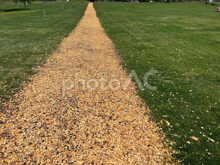 北海道の牧場の芝生の真ん中の道 道,北海道,ピクニックの写真素材