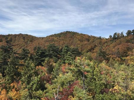白山白川郷ホワイトロードの紅葉3 白山白川郷ホワイトロードの紅葉3 白山白川郷ホワイトロード,ドライブウェイ,白山の写真素材