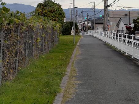 溜池横の歩道 街並み,住宅街,歩道の写真素材