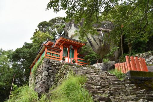 神社 神社,観光,鳥居の写真素材