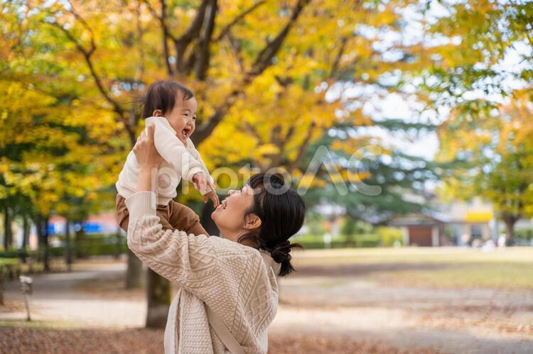 秋の公園でママと遊ぶ赤ちゃん 赤ちゃん,ママ,親子の写真素材