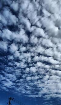 うろこ雲 自然,空,何人もありませんの写真素材