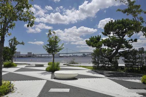 晴海ふ頭公園.風景 晴海ふ頭公園.風景 晴海ふ頭公園,環境,自然の写真素材