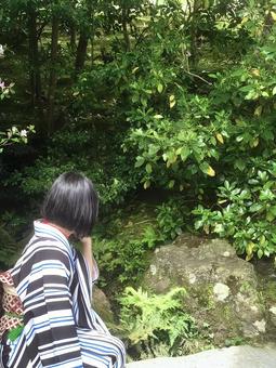 植物鑑賞する着物の女性 植物鑑賞する着物の女性 着物,後ろ姿,ボブヘアの写真素材