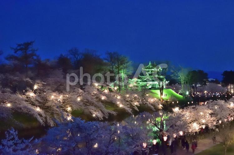 高田城址公園の夜桜ライトアップ（1） さくら,夜桜,高田城址公園の写真素材
