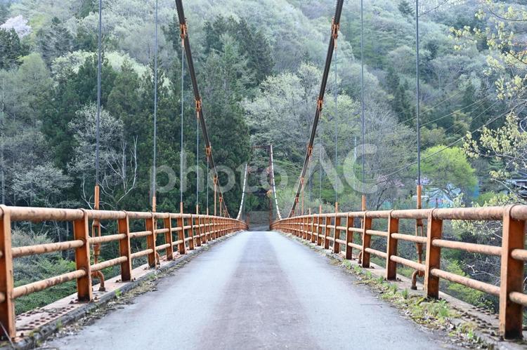 群馬県の老神温泉の島古井の渓谷の橋 島古井の渓谷,橋,山の写真素材