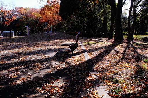 晩秋の光 晩秋の光 秋陽,秋の日,秋の陽の写真素材