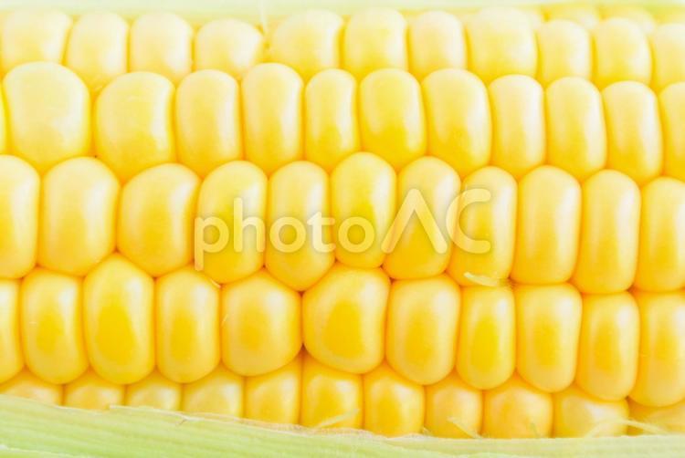 野菜のイメージ とうもろこし,コーン,アップの写真素材