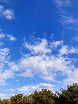 秋空 秋空 秋空,秋,オータムの写真素材