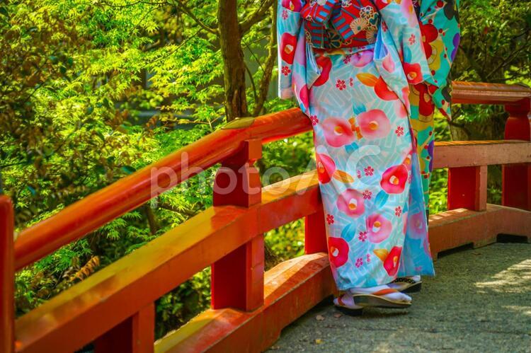 着物の女性のイメージ 着物,女性,民族衣装の写真素材