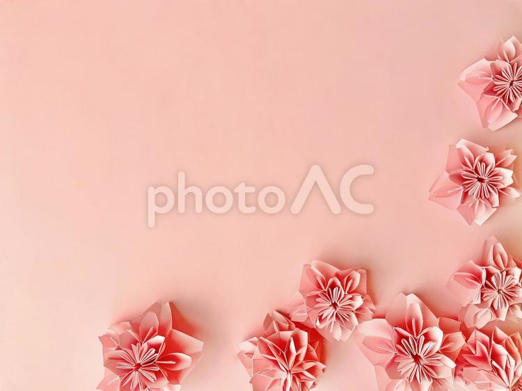 八重桜（折り紙）の背景 背景,桜,春の写真素材