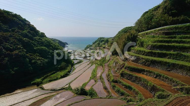 浜野浦の棚田 浜野浦,棚田,田の写真素材