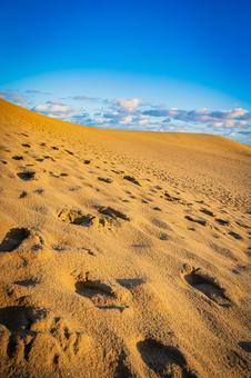 鳥取県　鳥取砂丘の風景 鳥取砂丘,日本の風景,自然の写真素材