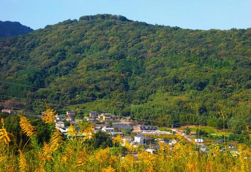 秋の野草と山景 山,野草,黄色の写真素材