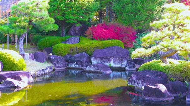 姫路城 好古園12 紅葉,秋,松の写真素材