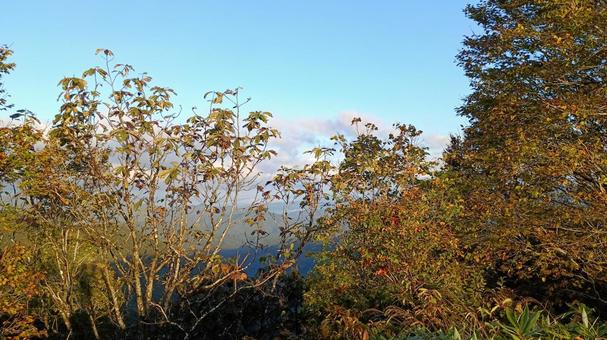 早朝の枝折峠 枝折峠,山,早朝の写真素材