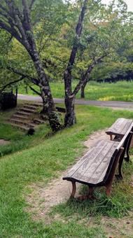 初秋の公園にある誰もいない休憩スペース 初秋の公園にある誰もいない休憩スペース ベンチ,公園,広場の写真素材