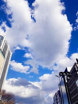 春空 春空の写真