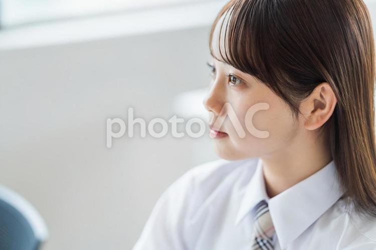 勉強をする女子高校生。 女性,女子,高校生の写真素材