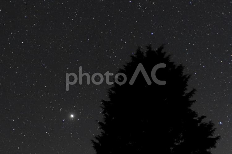 木の横に輝く星・天体 星空,星,星景写真の写真素材