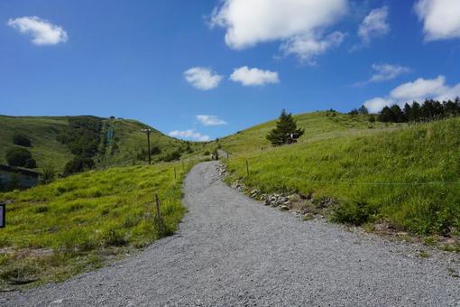 ハイキング　山　自然の写真