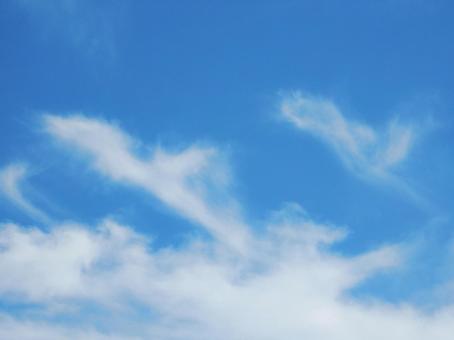 【空の写真】夏空 【空の写真】夏空の写真